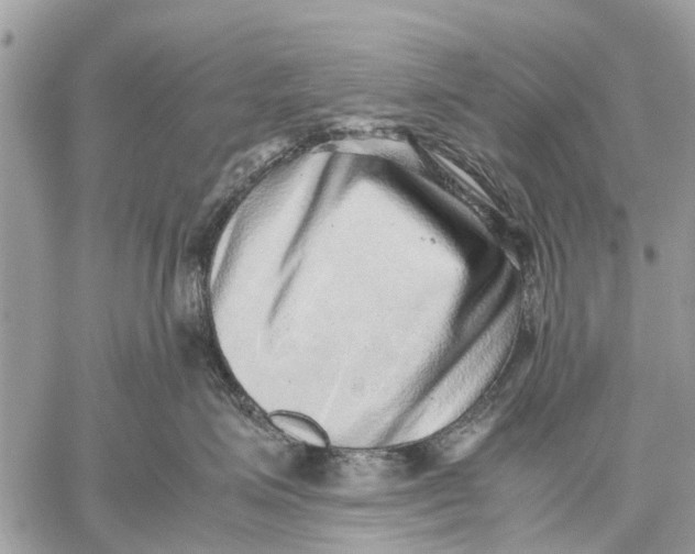 X0000059090623200510281750