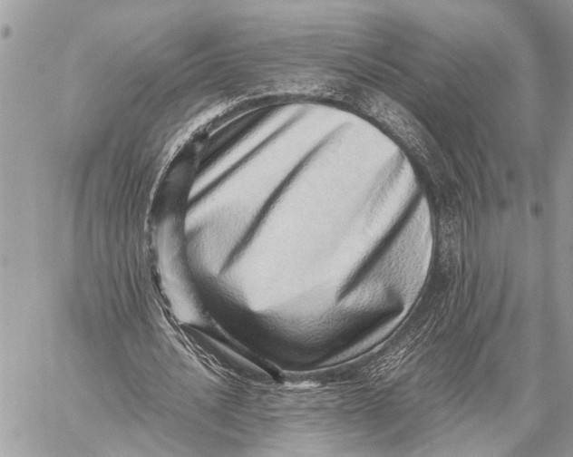 X0000059090628200510281750