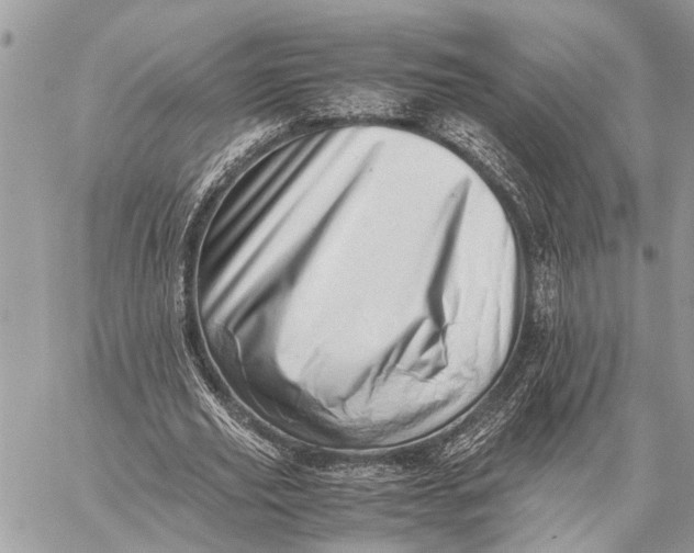 X0000059090629200510281750