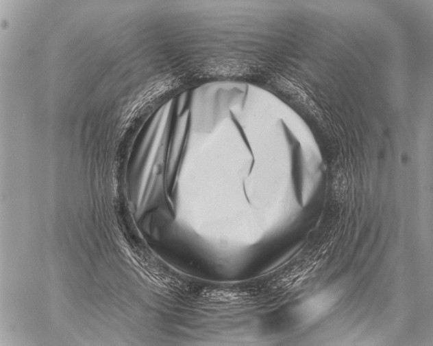 X0000059090635200510281750