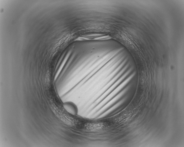 X0000059090639200510281750