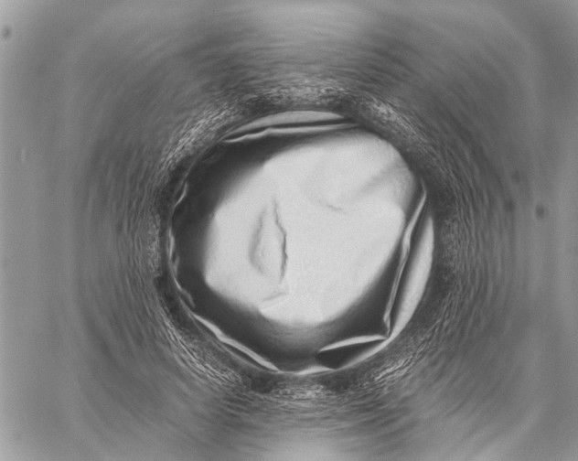 X0000059090642200510281750