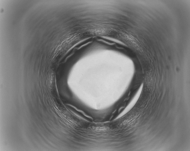 X0000059090645200510281750