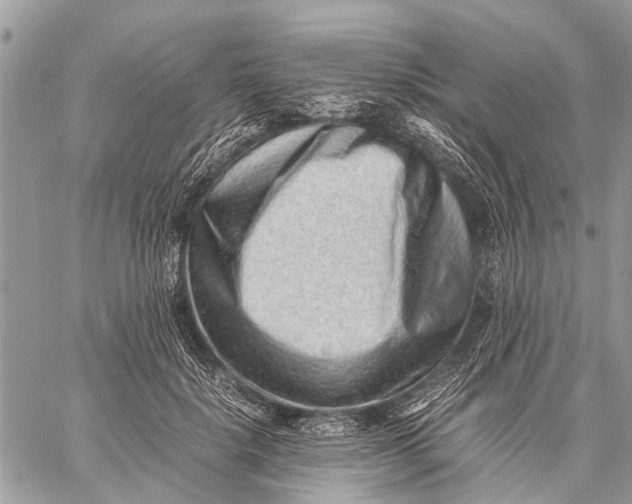 X0000059090652200510281750