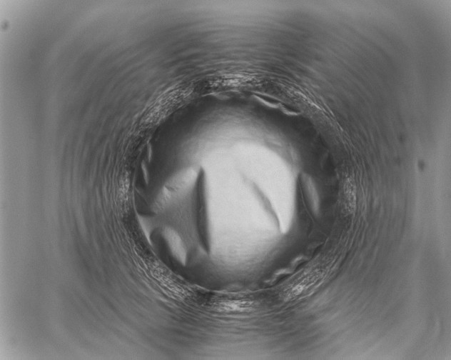 X0000059090657200510281750