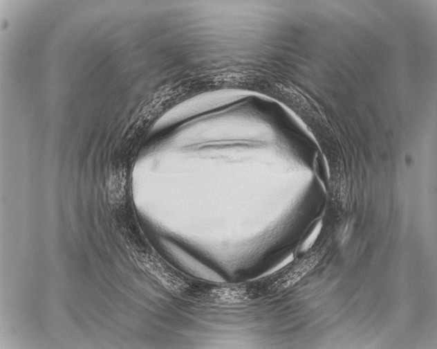 X0000059090660200510281750