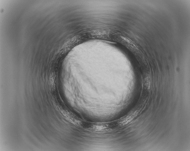 X0000059090662200510281750