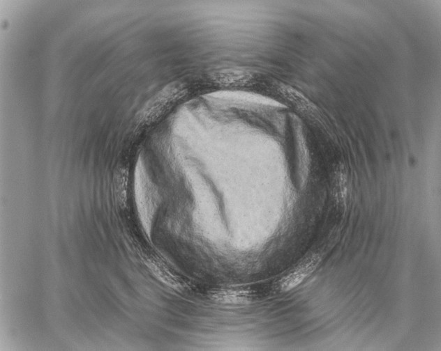 X0000059090664200510281750