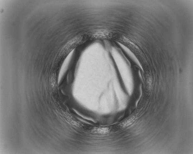 X0000059090665200510281750