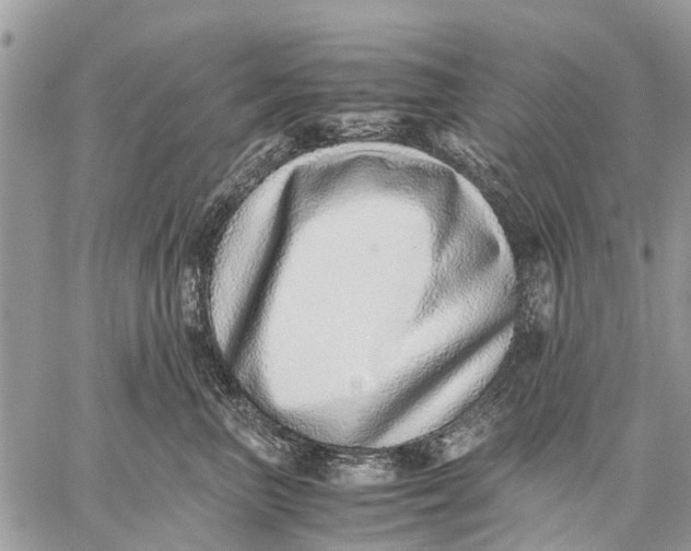 X0000059090667200510281750