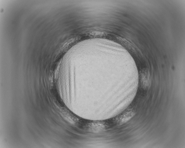 X0000059090668200510281750