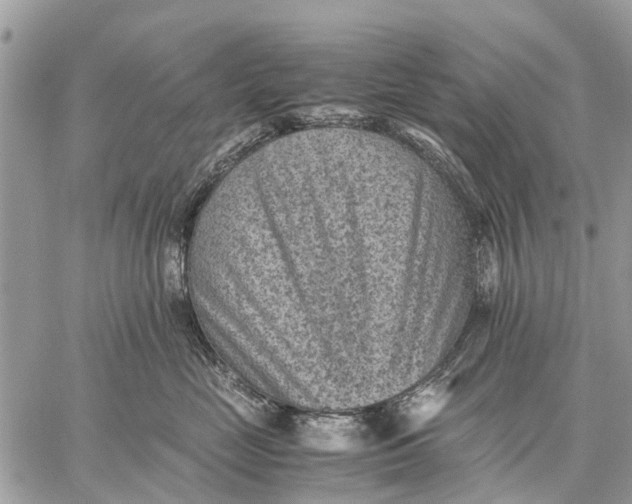 X0000059090669200510281750