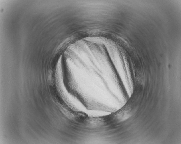 X0000059090670200510281750