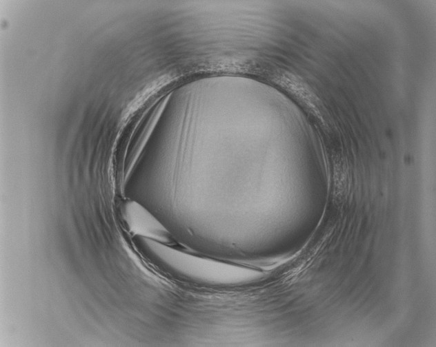 X0000059090674200510281749
