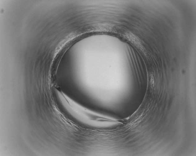 X0000059090676200510281749