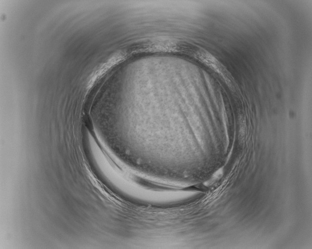 X0000059090677200510281749