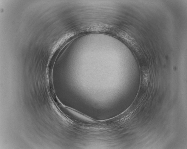 X0000059090678200510281749