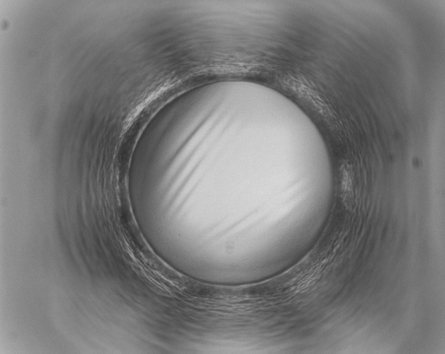 X0000059090684200510281749