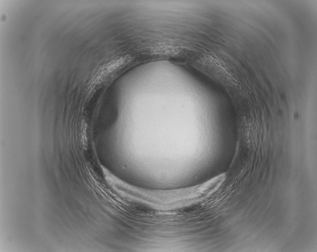 X0000059090692200510281749
