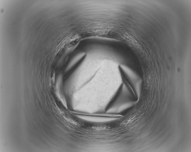 X0000059090693200510281749