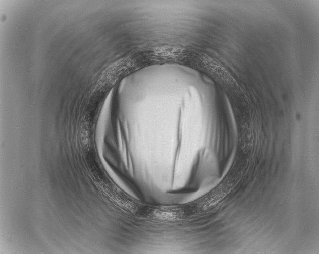 X0000059090706200510281749