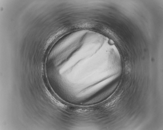 X0000059090725200510281748