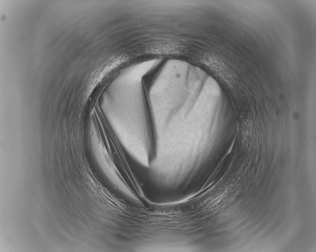 X0000059090727200510281748