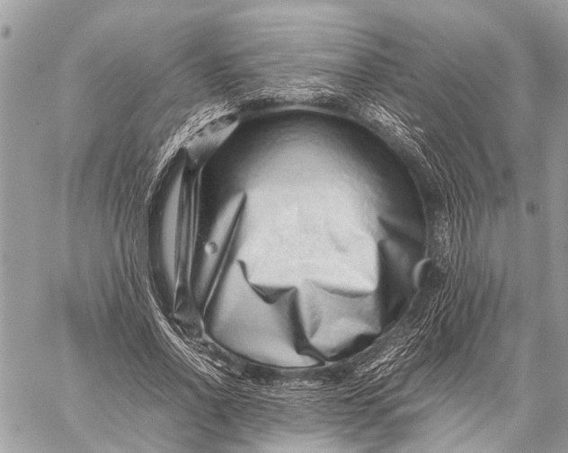 X0000059090734200510281748