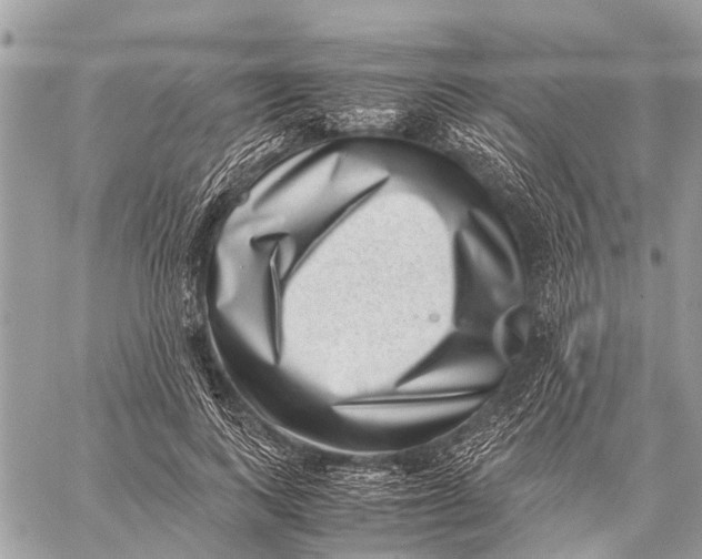 X0000059090743200510281748