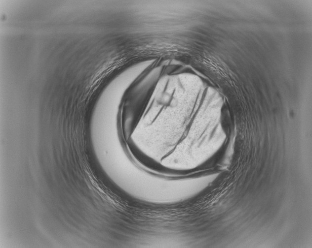 X0000059090744200510281748