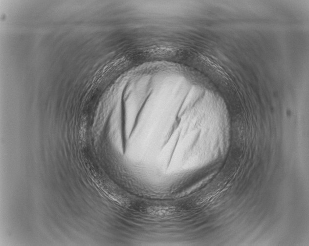 X0000059090745200510281748