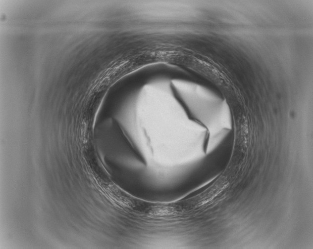 X0000059090750200510281748