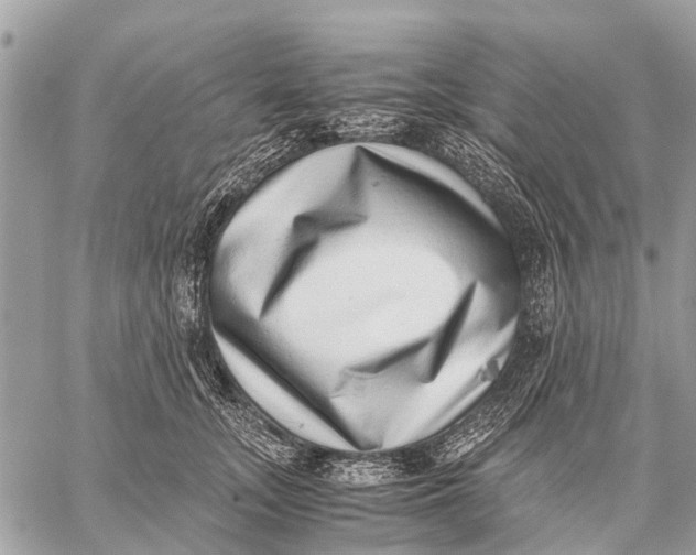 X0000059090755200510281748