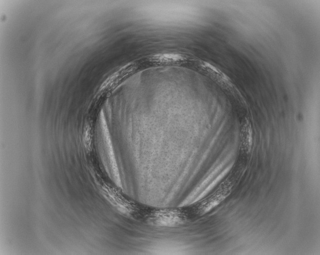 X0000059090762200510281748