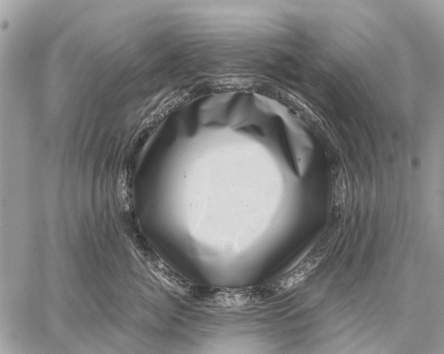 X0000059090764200510281749