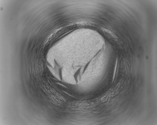 X0000059090776200510281748