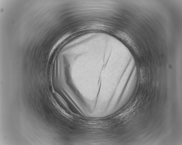 X0000059090780200510281748