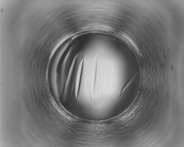X0000059090788200510281748