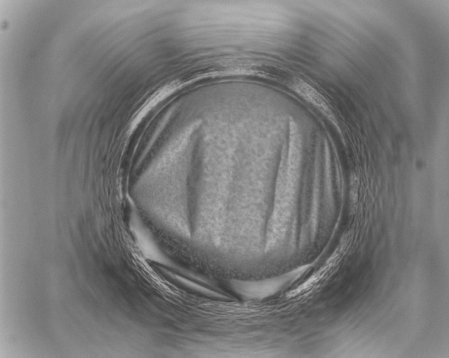 X0000059090789200510281747