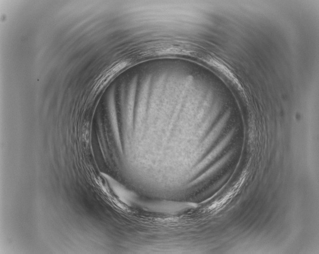 X0000059090793200510281747