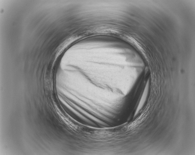 X0000059090795200510281747