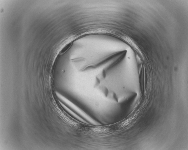 X0000059090805200510281747