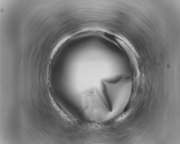 X0000059090815200510281747