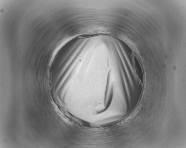 X0000059090816200510281747