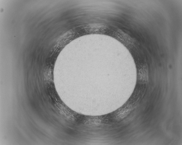 X0000059090820200510281746
