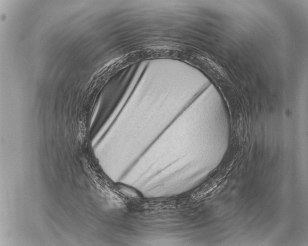 X0000059090821200510281746