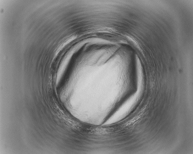 X0000059090827200510281746