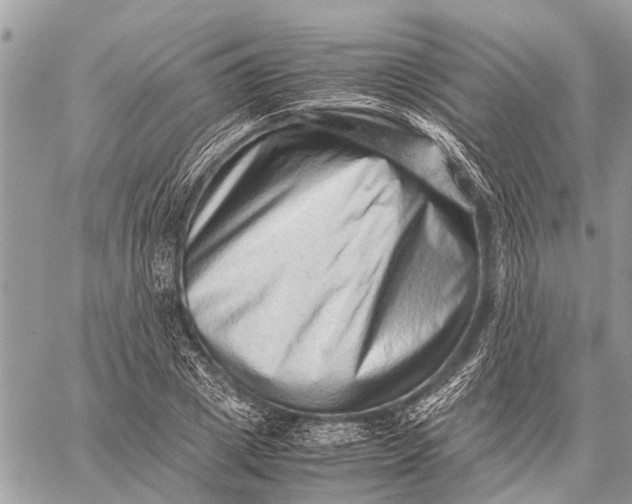X0000059090833200510281747