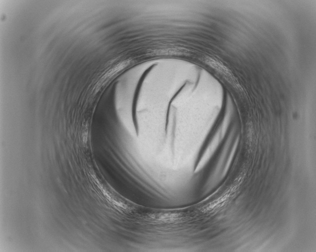 X0000059090841200510281747