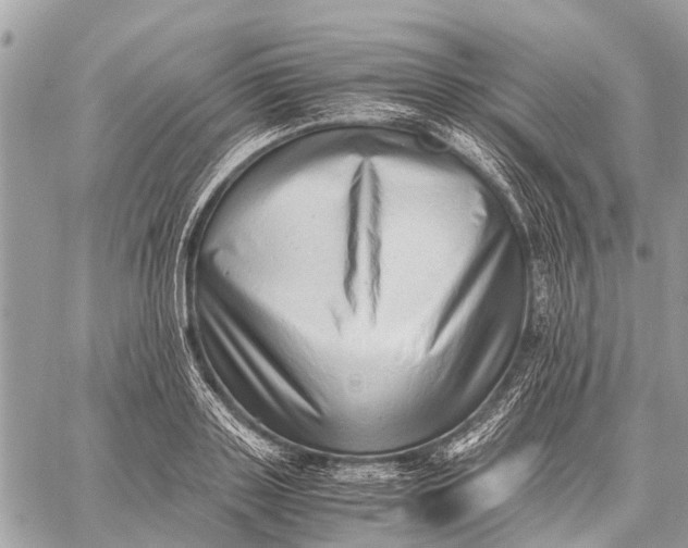 X0000059090843200510281747